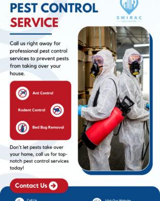 Pest Control Service Flyers